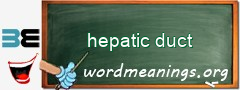 WordMeaning blackboard for hepatic duct